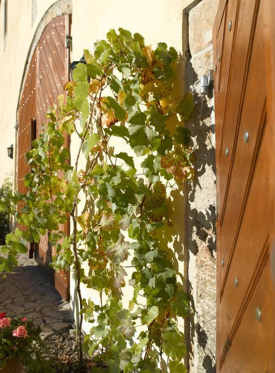 Отель Gastehaus Im Weingut Schloss Proschwitz Мейсен Экстерьер фото